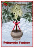 Poinsettia Topiary White