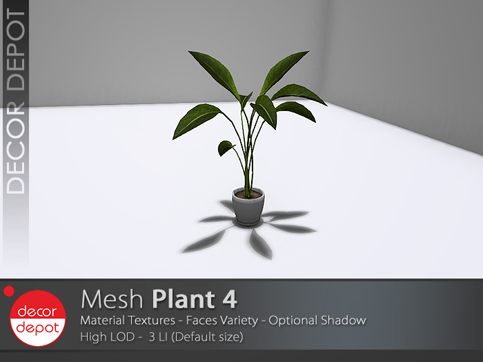 [DD] - FULL PERM  Plant 4