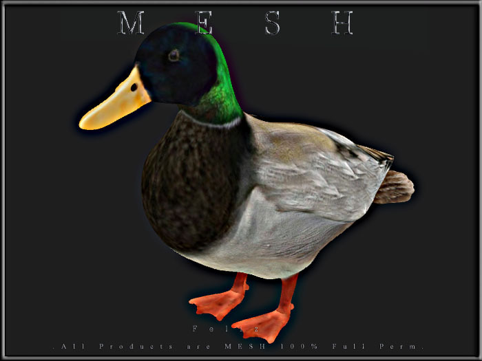 [Feliz] Duck - MESH - Full Perm - 
