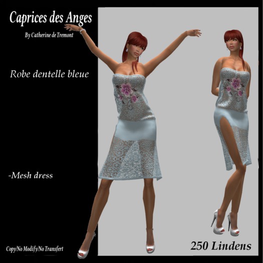 *CdT* Robe dentelle bleue