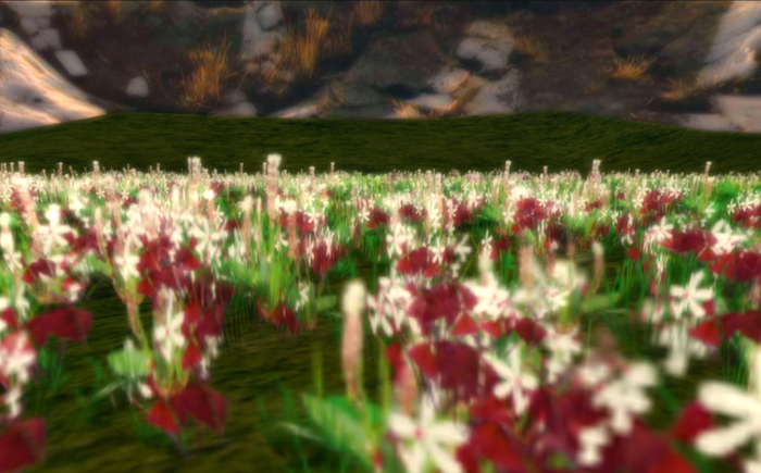 *Shabby* Lucky Spring Fields
