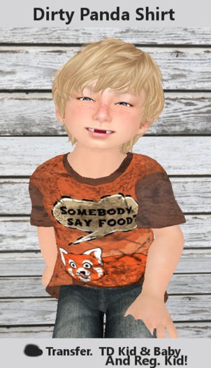 TD Book Shirt