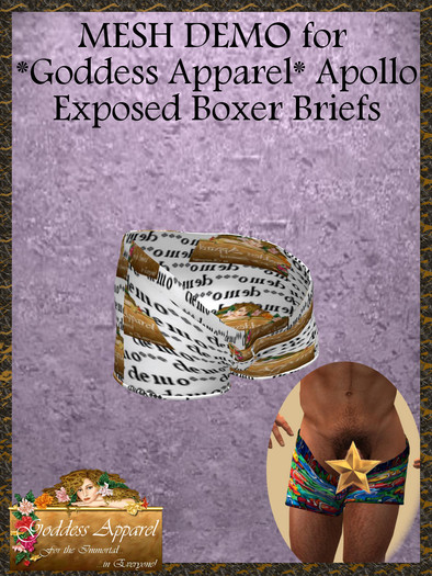 *Goddess* Apollo Exposed Boxer Briefs MESH Demos