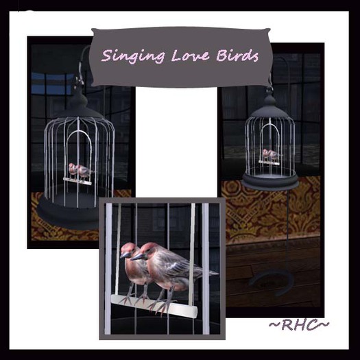 RHC Singing Love Birds