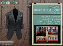 Addams // Striped Suit Jacket with Shirt for Women // Grey