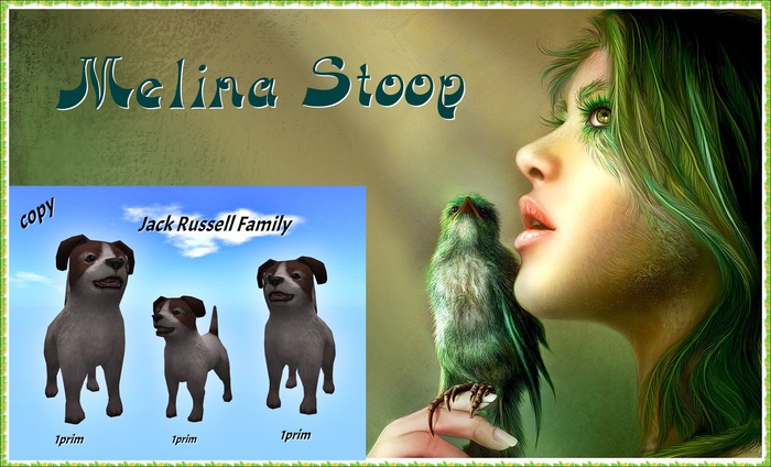 Jack Russell Family ( MP )