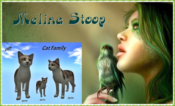 Cat Family ( MP )