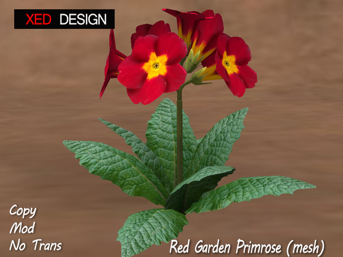 XD Blue Garden Iris (mesh) 