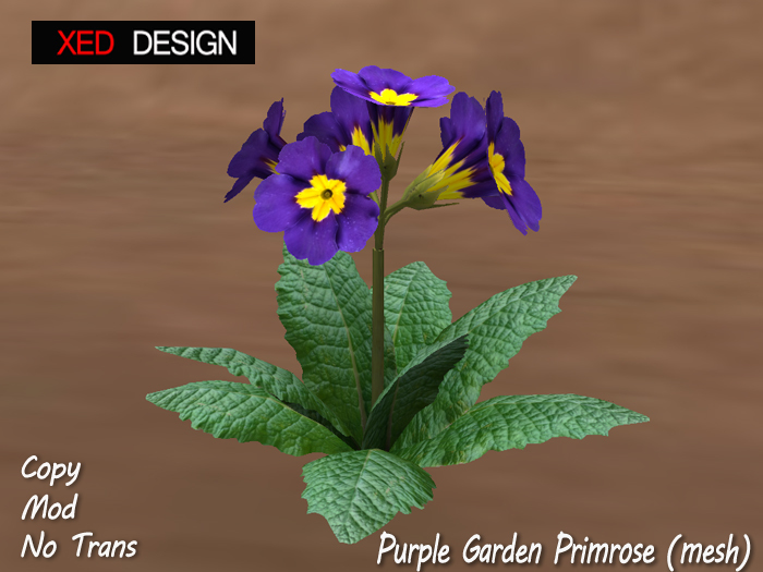 XD Purple Garden Primrose (mesh)