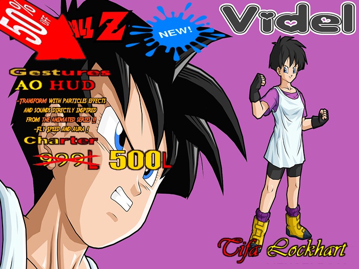 New Videl Charter Compatible Vers. 3.0 (Boxed)