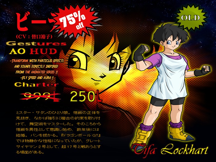 Videl Charter Vers. 6.0 (Boxed)