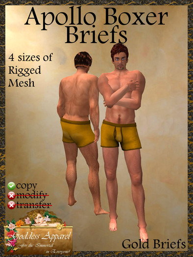 *Goddess* Apollo Boxer Briefs Gold