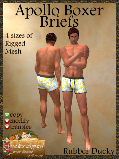 *Goddess* Apollo Exposed Boxer Briefs Purple