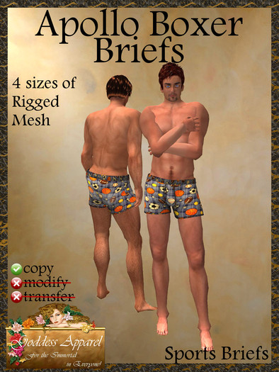 *Goddess* Apollo Exposed Boxer Briefs Purple