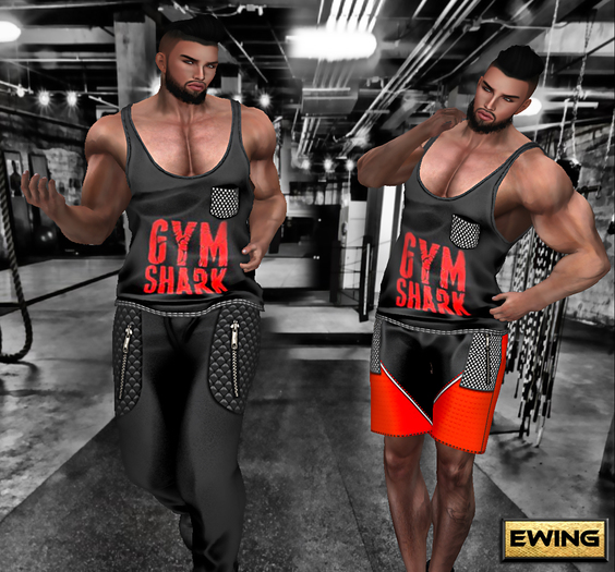 *+EWING+* AESTHETIC Outfit "Gym Shark"