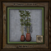 Clay and Bamboo Vases Bu