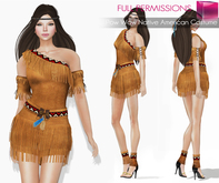 MI960426 MI Pow Wow Native American Costume