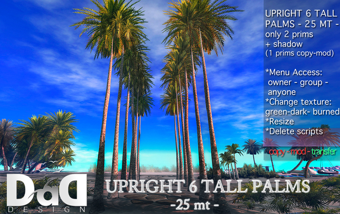 UPRIGHT 6 TALL PALMS- 2 PRIMS - Transfer