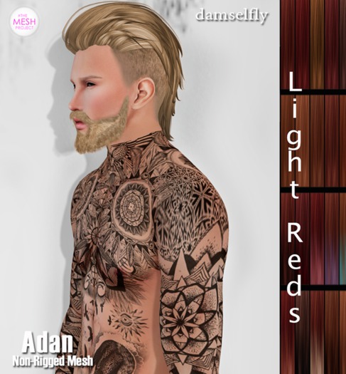 *~*Damselfly*~*Rainah Mesh Tropic