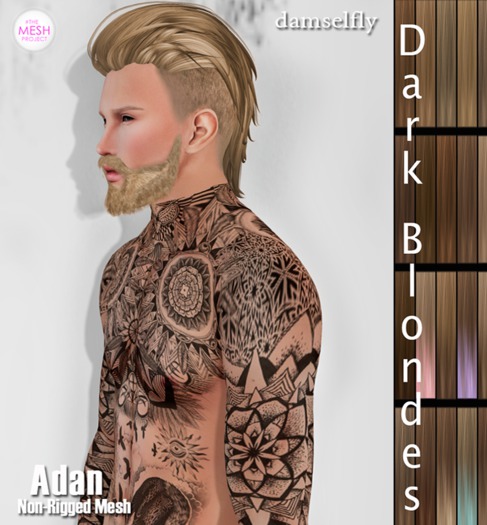 *~*Damselfly*~*Rainah Mesh Tropic