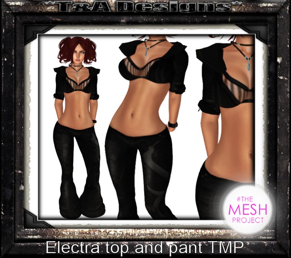 *T&A Designs* Electra TMP installer