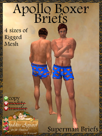 *Goddess* Apollo Boxer Briefs Superman