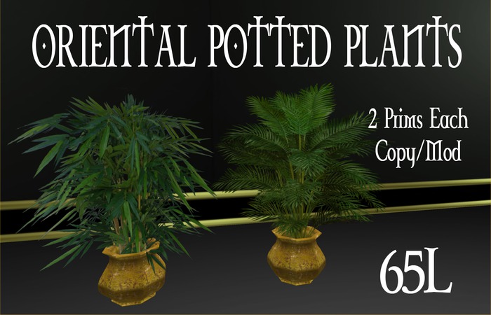 Oriental potted plants boxed