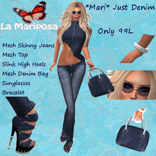 *Mari* Just Denim Mesh Outfit