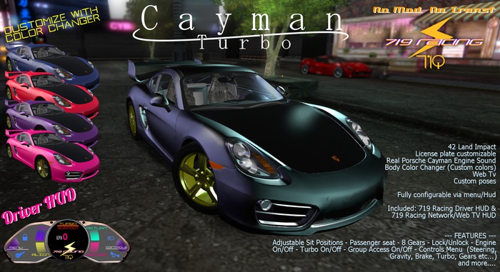 719 Racing - Cayman Turbo  (Wear to unpack)