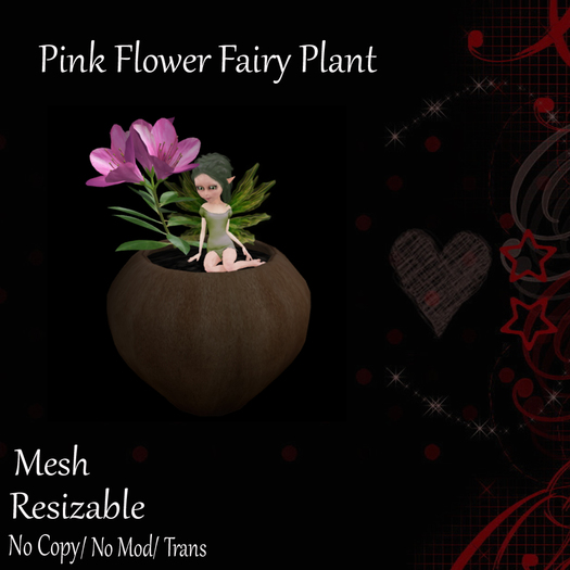 Pink Flower Fairy Plant