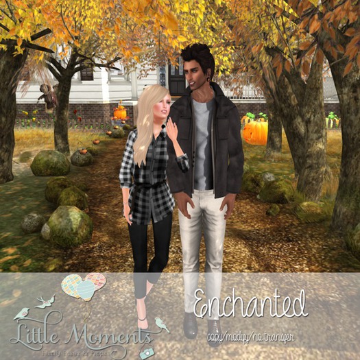 Little Moments-Enchanted