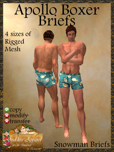 *Goddess* Apollo Exposed Boxer Briefs Purple