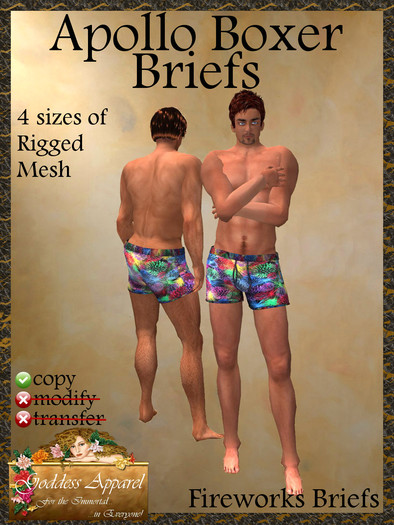 *Goddess* Apollo Boxer Briefs Fireworks