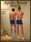 *Goddess* Apollo Boxer Briefs Navy