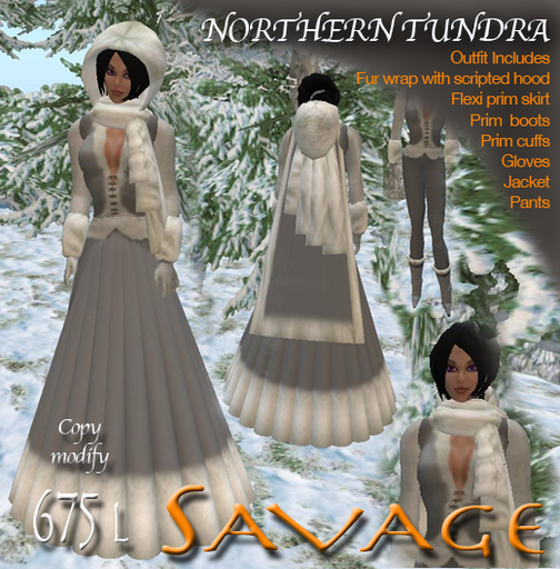 Northern Tundra by Savage