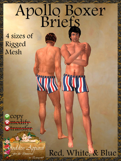 *Goddess* Apollo Exposed Boxer Briefs Purple