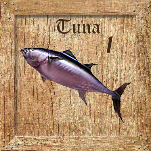 Tuna 1 Holz Textures