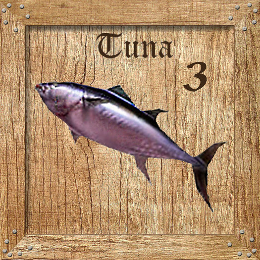 Tuna 3  Holz Textures