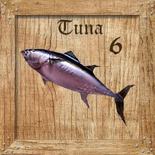 Tuna 6 Holz Textures