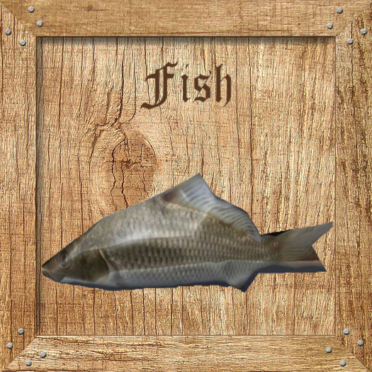 Fish Holz Textures