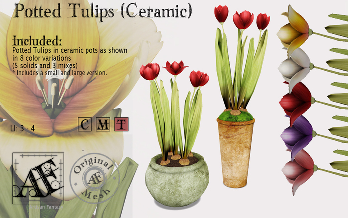 *AF* Potted Tulips (Ceramic) (Wear Me)