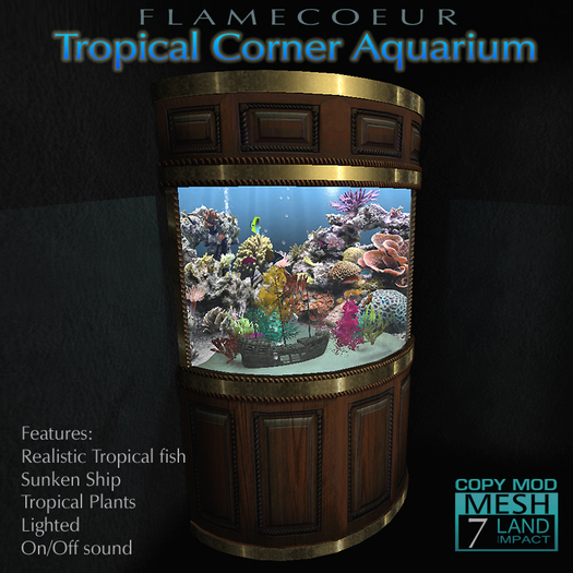 Tropical Corner Aquarium