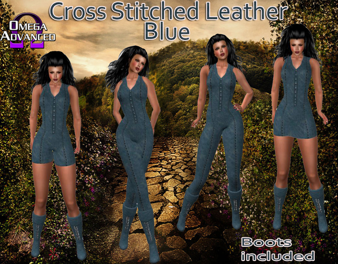 Berry Leather xstitich