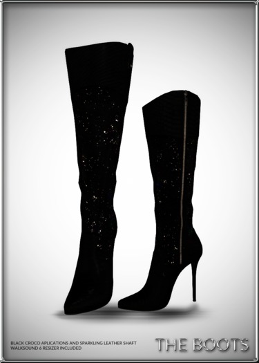 :: INSANE :: THE BOOTS