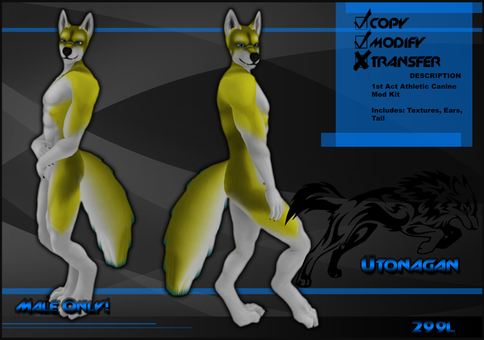 [Virtual Fuzz] Aardwolf