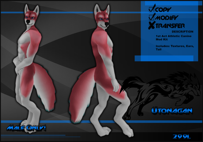 [Virtual Fuzz] Aardwolf