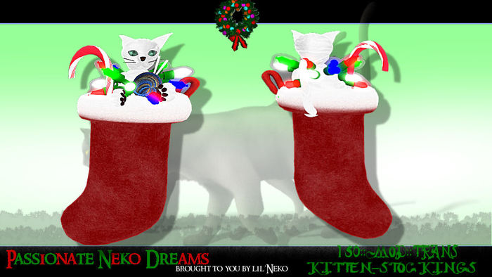 ::PND::Kitten-Stockings white