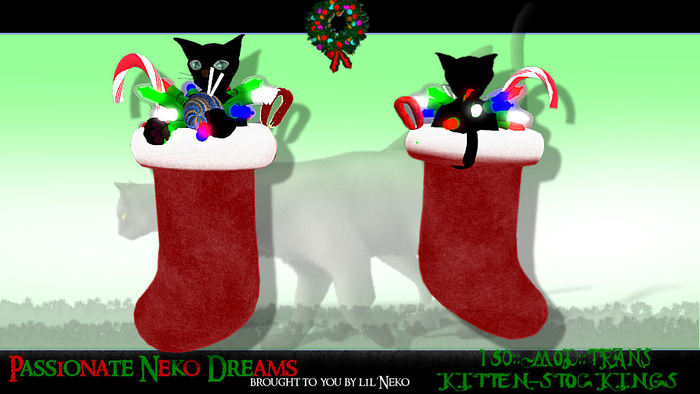 ::PND::Kitten-Stockings black