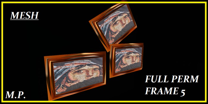 FULL PERM FRAME 5