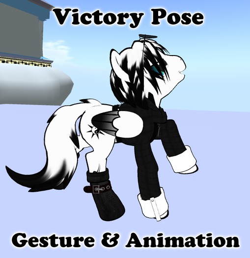 Pony Victory Pose